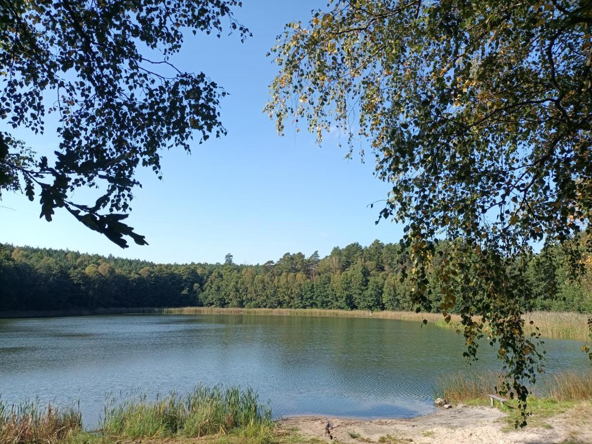 Villa Smocze Ranczo 2 Ośno Lubuskie Exterior foto